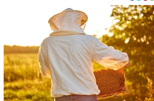 Featured beekeeper