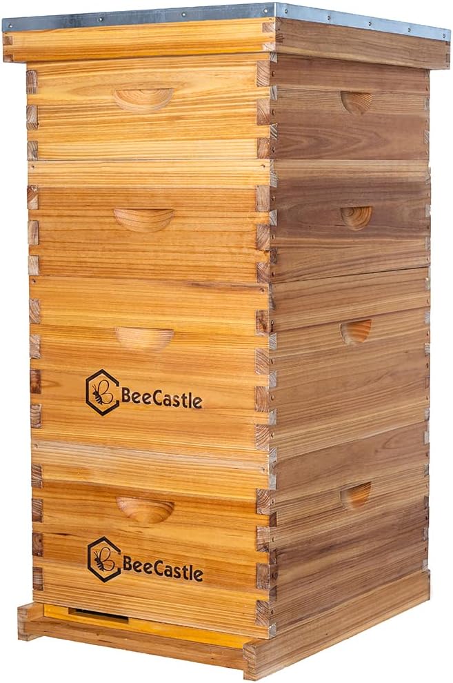 BeeCastle 10-Frame Langstroth Beehive