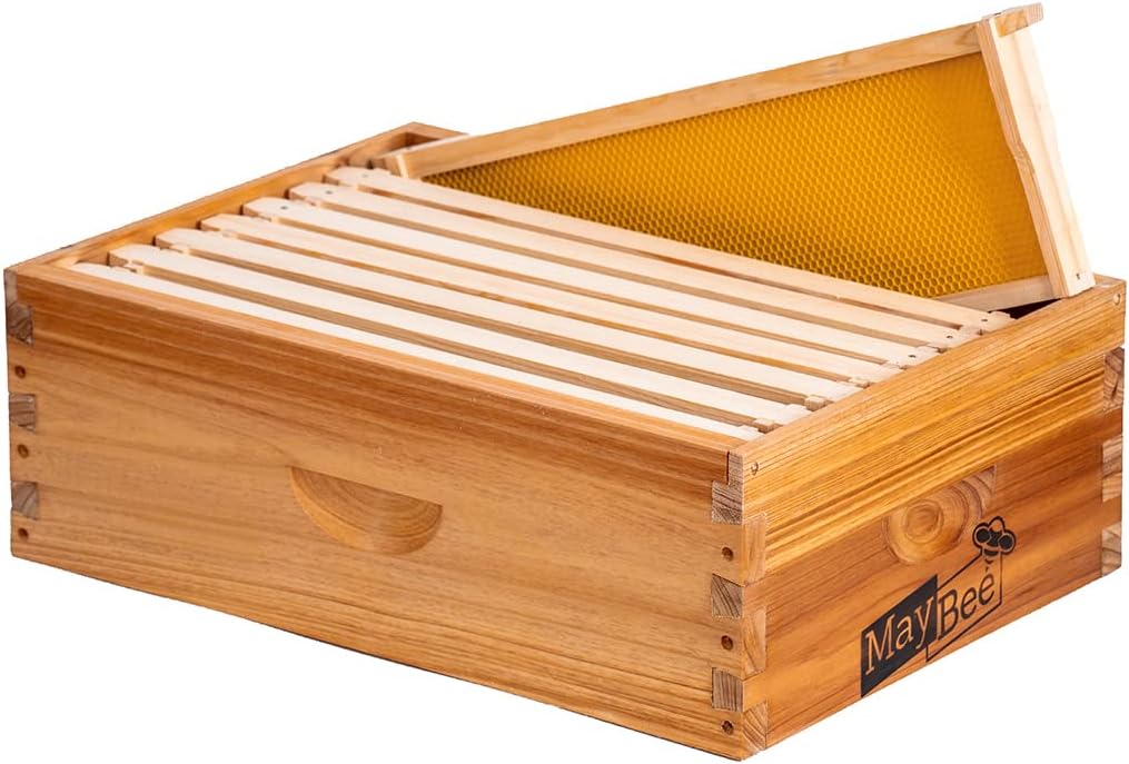 Langstroth Medium Super Bee Box
