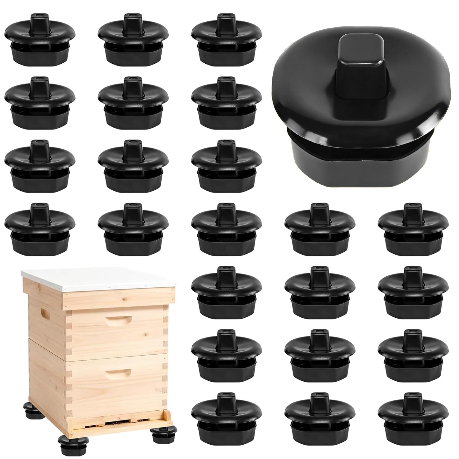 6 Sets Ant-Proof Beehive Stands