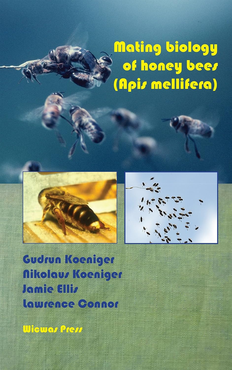 Mating Biology of Honey Bees